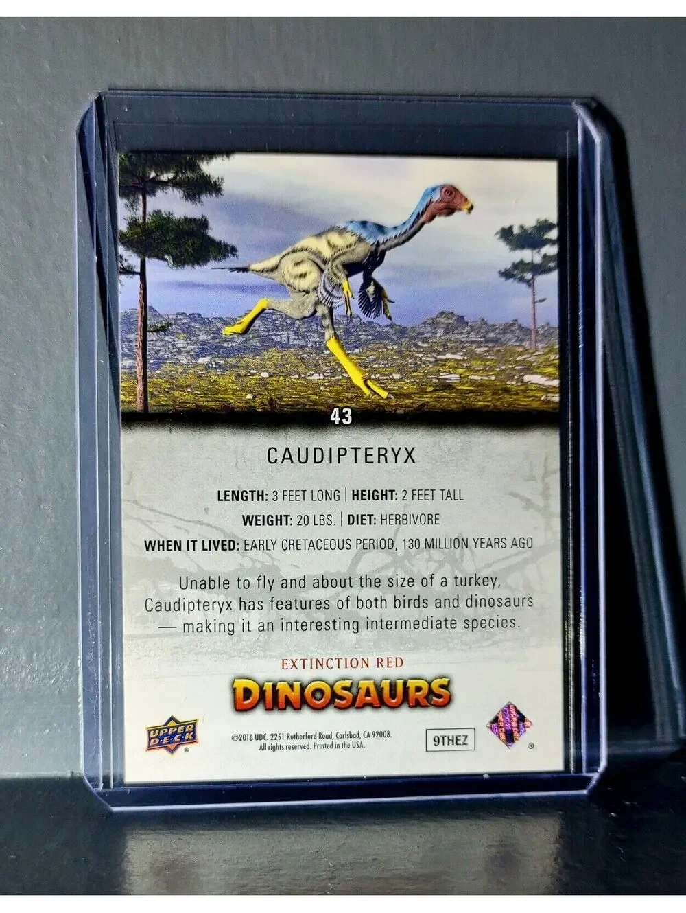 2015 Upper Deck Dinosaurs Caudipteryx Extinction Red Parallel #43 Card